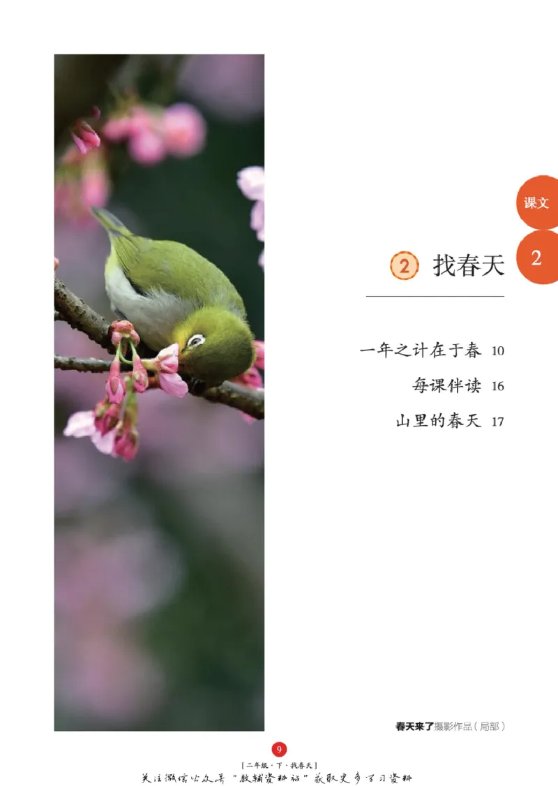 绘本课堂二年级下册语文部编版年级阅读_二年级上下册资料_小学二年级学习资料-25年更新版_2-02、小学二年级语文下册_2-2-2、练习题、作业、试题、试卷_电子册类