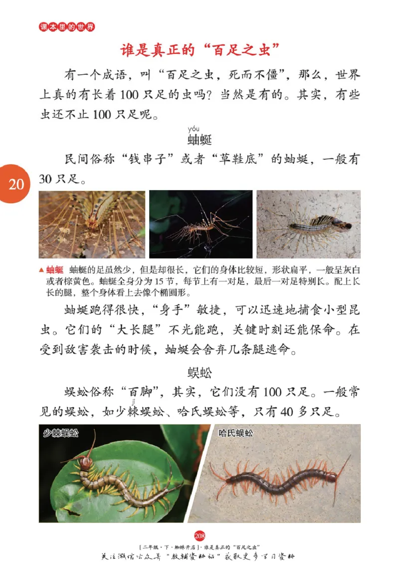 绘本课堂二年级下册语文部编版年级阅读_二年级上下册资料_小学二年级学习资料-25年更新版_2-02、小学二年级语文下册_2-2-2、练习题、作业、试题、试卷_电子册类