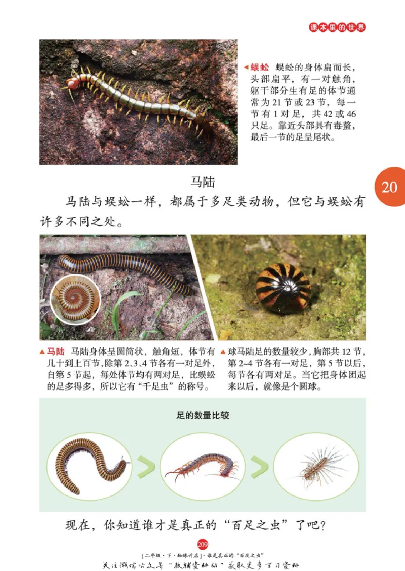 绘本课堂二年级下册语文部编版年级阅读_二年级上下册资料_小学二年级学习资料-25年更新版_2-02、小学二年级语文下册_2-2-2、练习题、作业、试题、试卷_电子册类