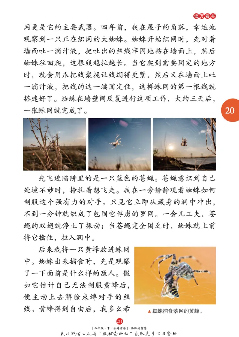 绘本课堂二年级下册语文部编版年级阅读_二年级上下册资料_小学二年级学习资料-25年更新版_2-02、小学二年级语文下册_2-2-2、练习题、作业、试题、试卷_电子册类