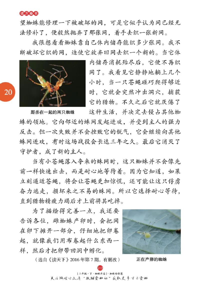 绘本课堂二年级下册语文部编版年级阅读_二年级上下册资料_小学二年级学习资料-25年更新版_2-02、小学二年级语文下册_2-2-2、练习题、作业、试题、试卷_电子册类