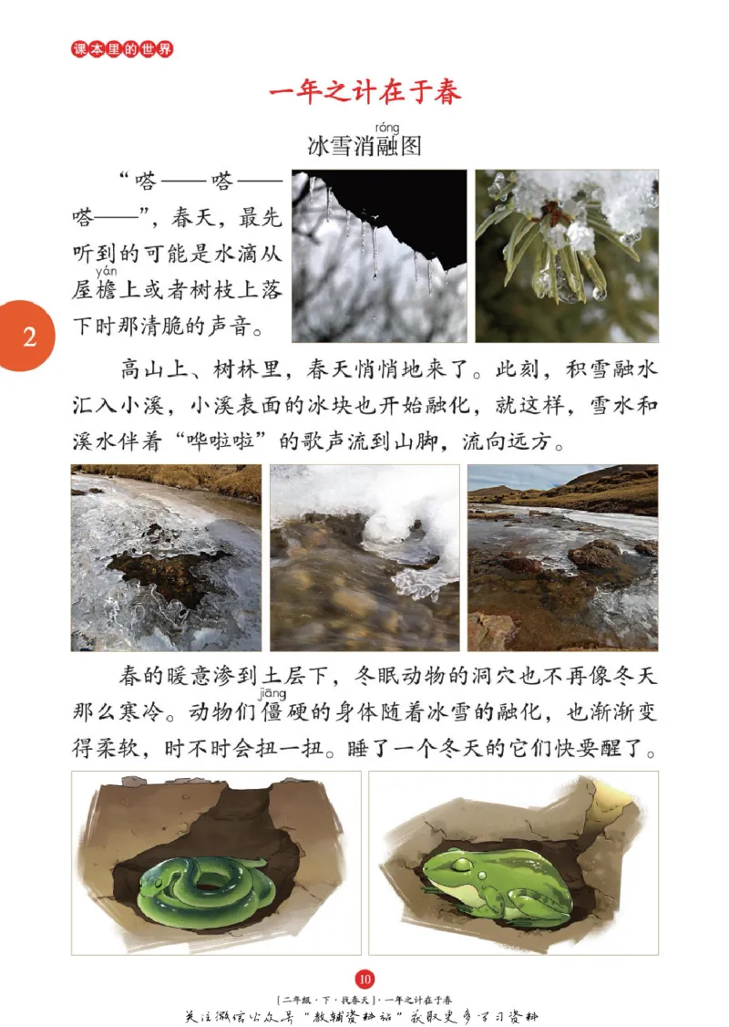 绘本课堂二年级下册语文部编版年级阅读_二年级上下册资料_小学二年级学习资料-25年更新版_2-02、小学二年级语文下册_2-2-2、练习题、作业、试题、试卷_电子册类