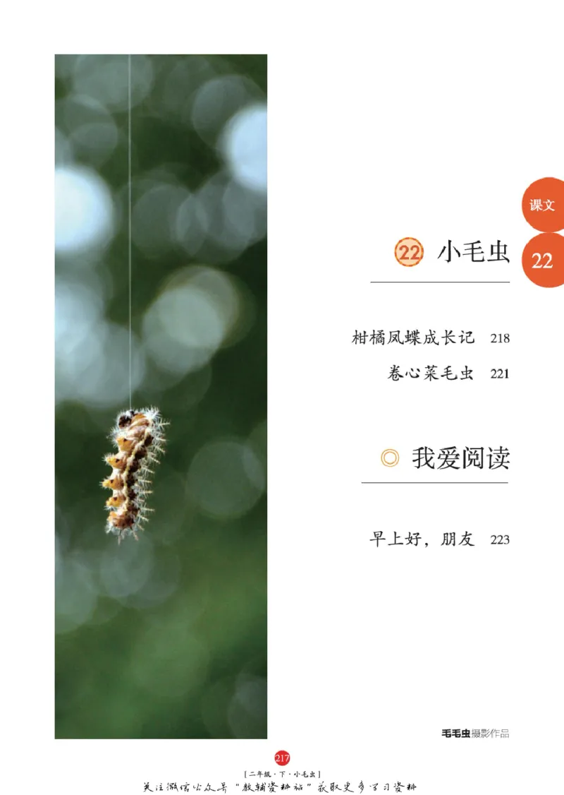 绘本课堂二年级下册语文部编版年级阅读_二年级上下册资料_小学二年级学习资料-25年更新版_2-02、小学二年级语文下册_2-2-2、练习题、作业、试题、试卷_电子册类