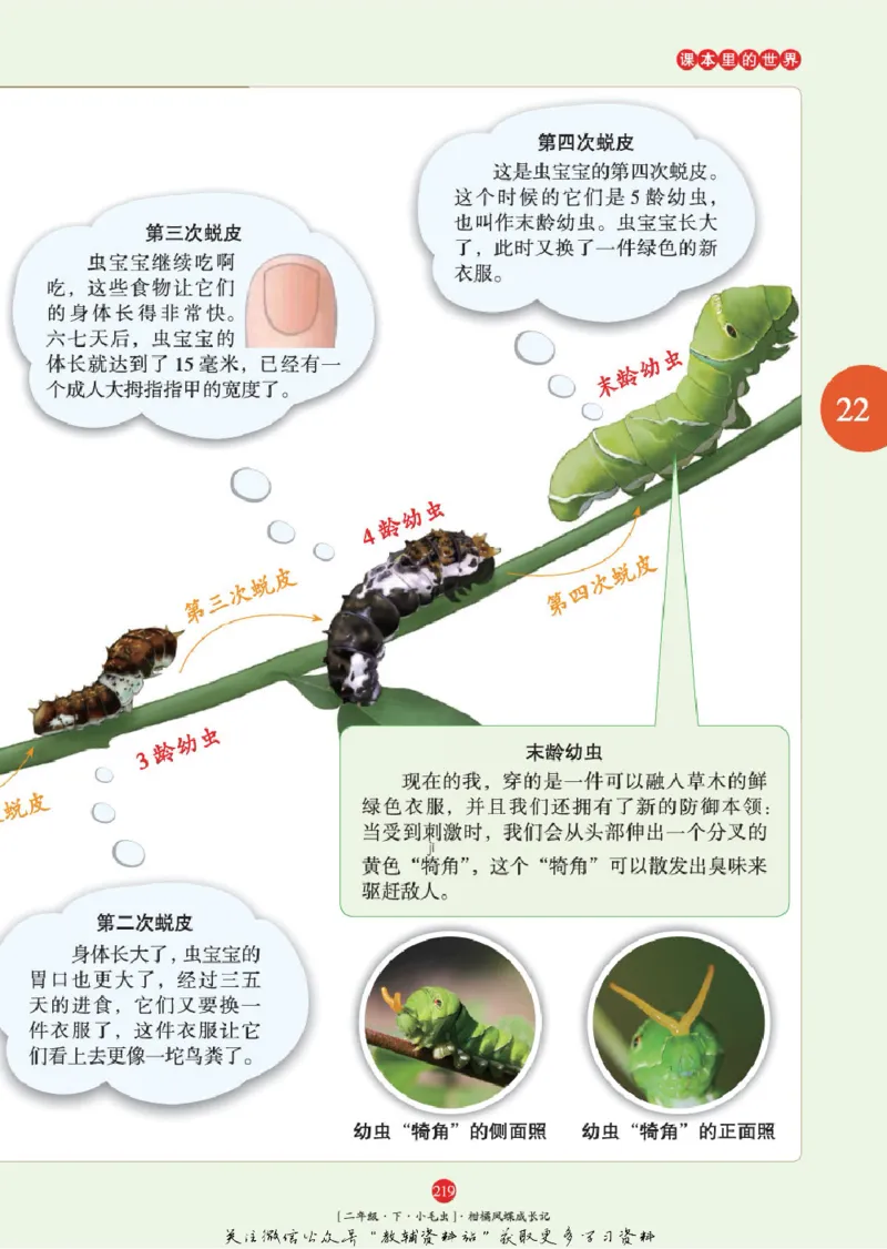 绘本课堂二年级下册语文部编版年级阅读_二年级上下册资料_小学二年级学习资料-25年更新版_2-02、小学二年级语文下册_2-2-2、练习题、作业、试题、试卷_电子册类