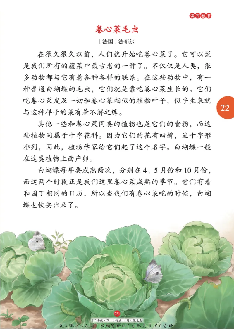 绘本课堂二年级下册语文部编版年级阅读_二年级上下册资料_小学二年级学习资料-25年更新版_2-02、小学二年级语文下册_2-2-2、练习题、作业、试题、试卷_电子册类