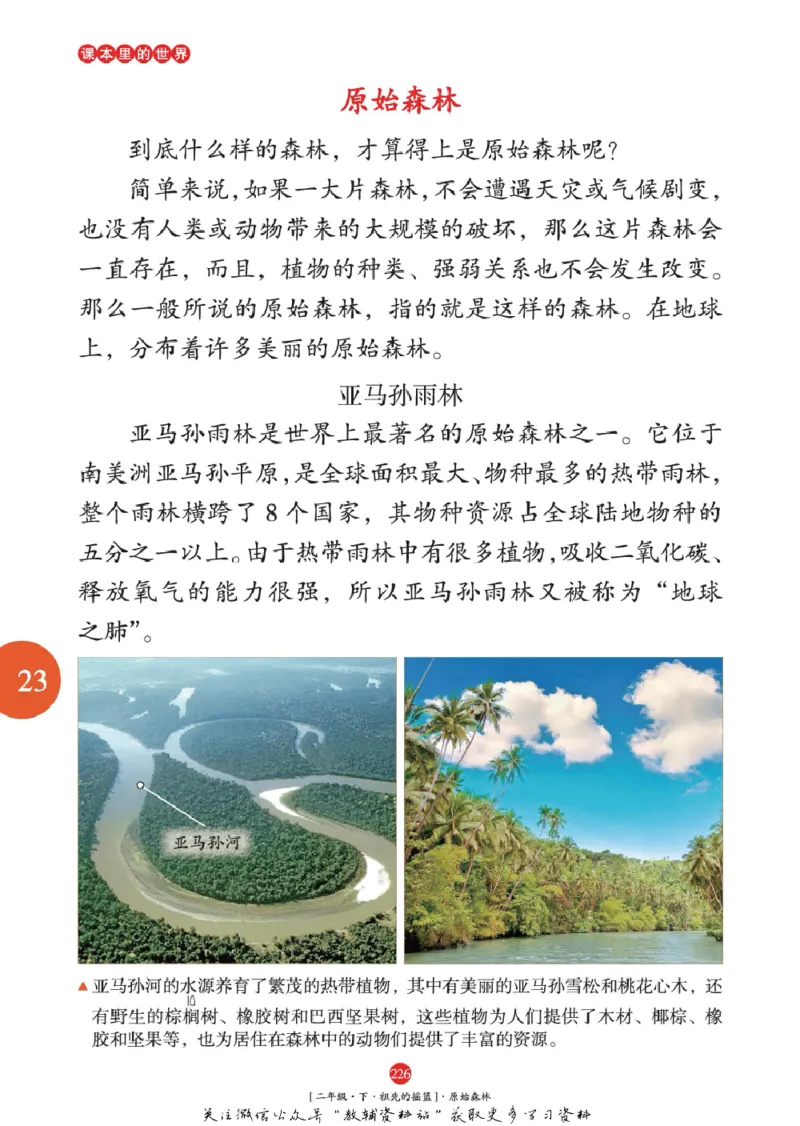 绘本课堂二年级下册语文部编版年级阅读_二年级上下册资料_小学二年级学习资料-25年更新版_2-02、小学二年级语文下册_2-2-2、练习题、作业、试题、试卷_电子册类