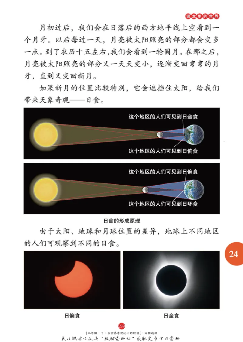 绘本课堂二年级下册语文部编版年级阅读_二年级上下册资料_小学二年级学习资料-25年更新版_2-02、小学二年级语文下册_2-2-2、练习题、作业、试题、试卷_电子册类