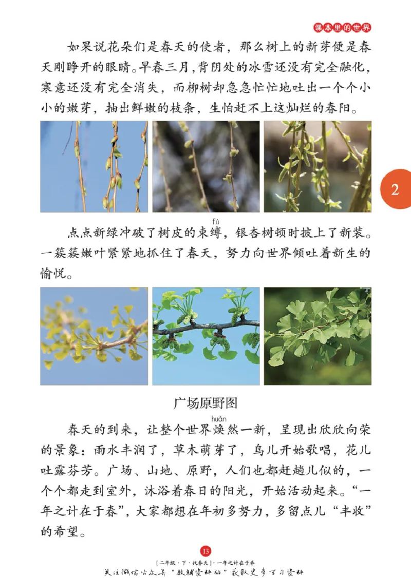 绘本课堂二年级下册语文部编版年级阅读_二年级上下册资料_小学二年级学习资料-25年更新版_2-02、小学二年级语文下册_2-2-2、练习题、作业、试题、试卷_电子册类