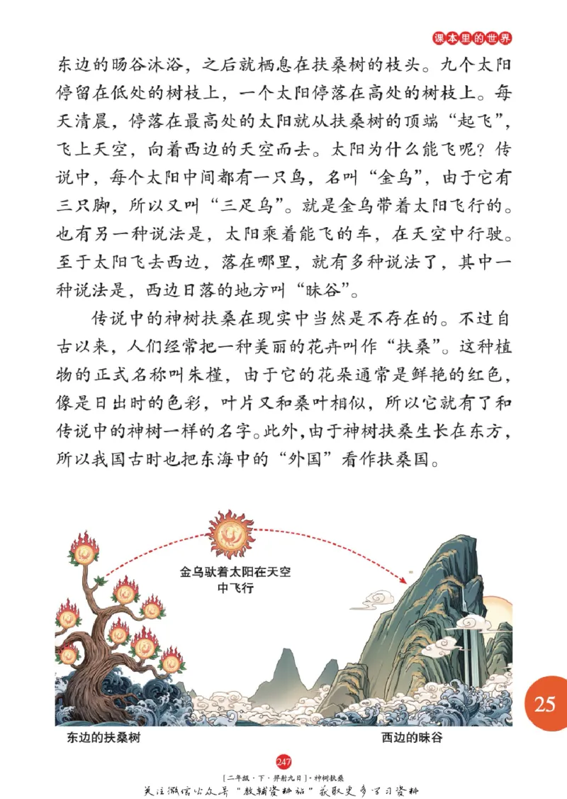 绘本课堂二年级下册语文部编版年级阅读_二年级上下册资料_小学二年级学习资料-25年更新版_2-02、小学二年级语文下册_2-2-2、练习题、作业、试题、试卷_电子册类