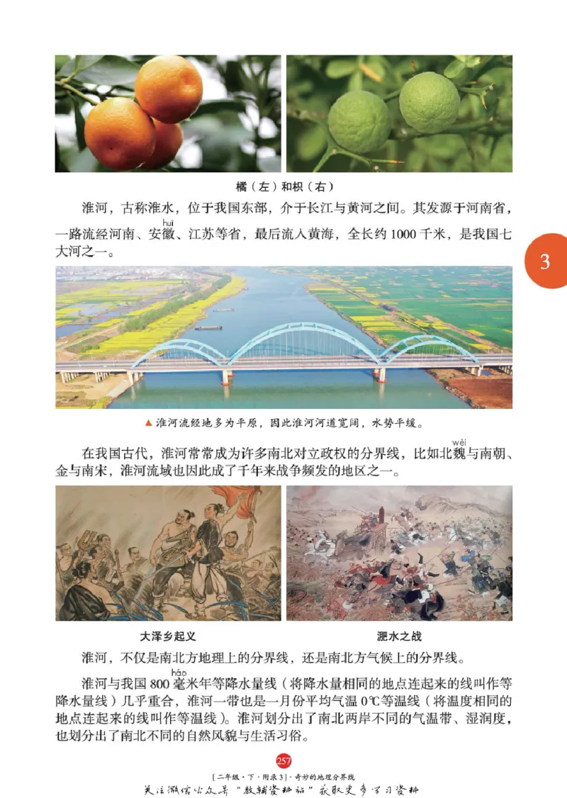 绘本课堂二年级下册语文部编版年级阅读_二年级上下册资料_小学二年级学习资料-25年更新版_2-02、小学二年级语文下册_2-2-2、练习题、作业、试题、试卷_电子册类