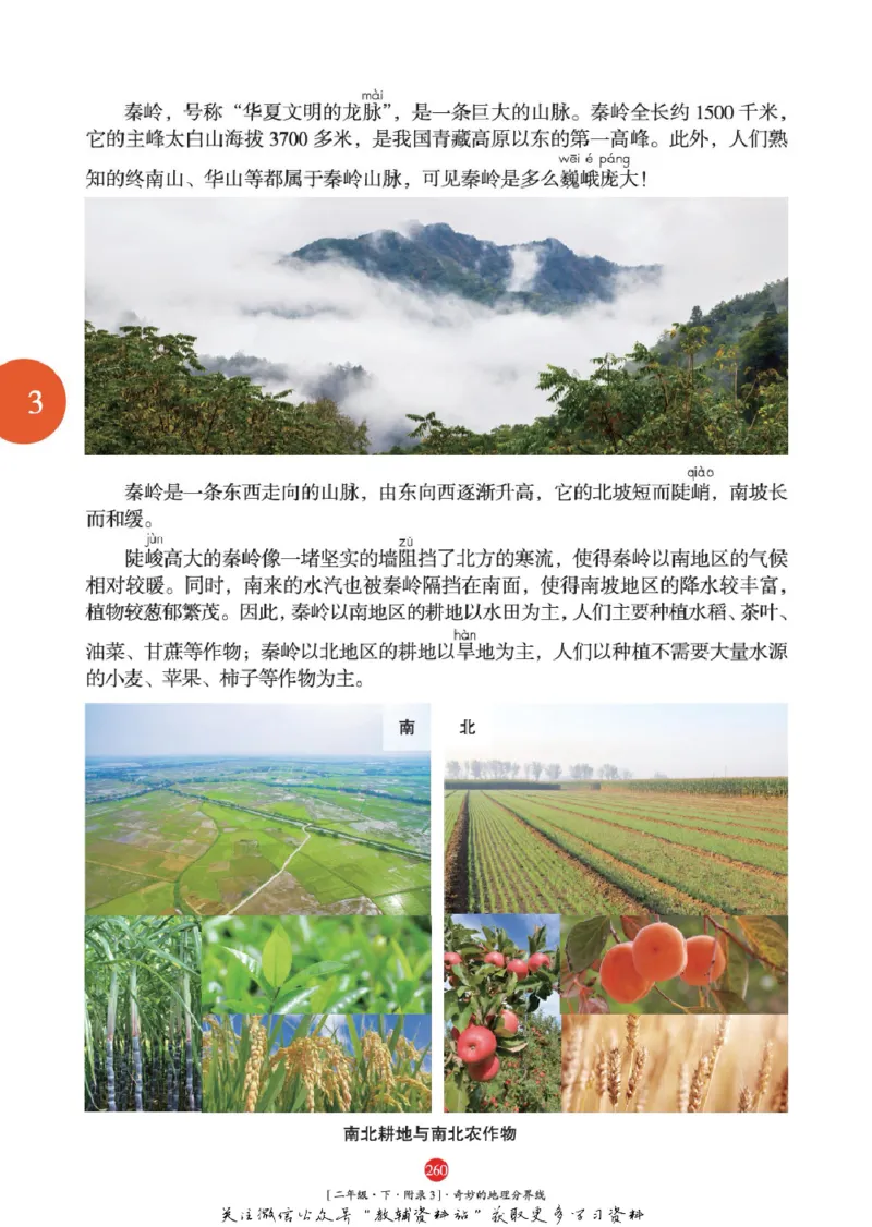 绘本课堂二年级下册语文部编版年级阅读_二年级上下册资料_小学二年级学习资料-25年更新版_2-02、小学二年级语文下册_2-2-2、练习题、作业、试题、试卷_电子册类