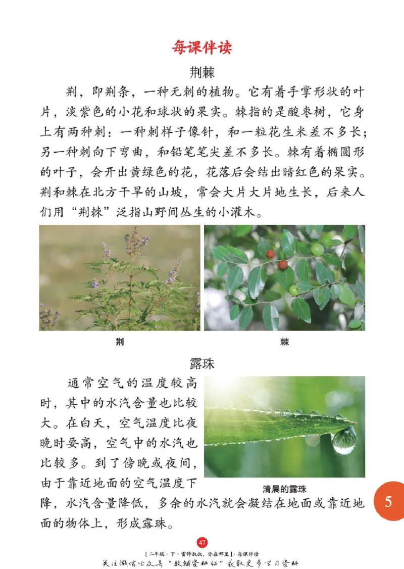 绘本课堂二年级下册语文部编版年级阅读_二年级上下册资料_小学二年级学习资料-25年更新版_2-02、小学二年级语文下册_2-2-2、练习题、作业、试题、试卷_电子册类