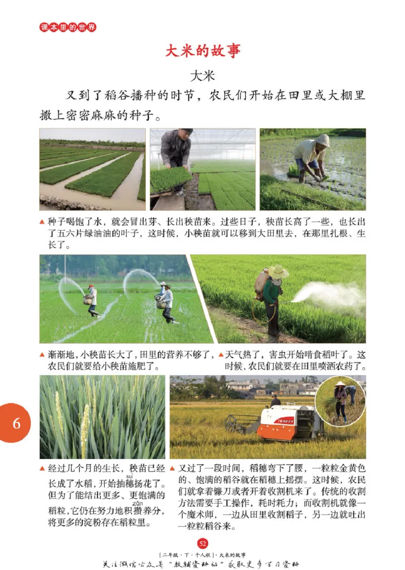 绘本课堂二年级下册语文部编版年级阅读_二年级上下册资料_小学二年级学习资料-25年更新版_2-02、小学二年级语文下册_2-2-2、练习题、作业、试题、试卷_电子册类