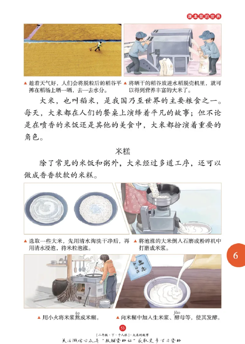 绘本课堂二年级下册语文部编版年级阅读_二年级上下册资料_小学二年级学习资料-25年更新版_2-02、小学二年级语文下册_2-2-2、练习题、作业、试题、试卷_电子册类