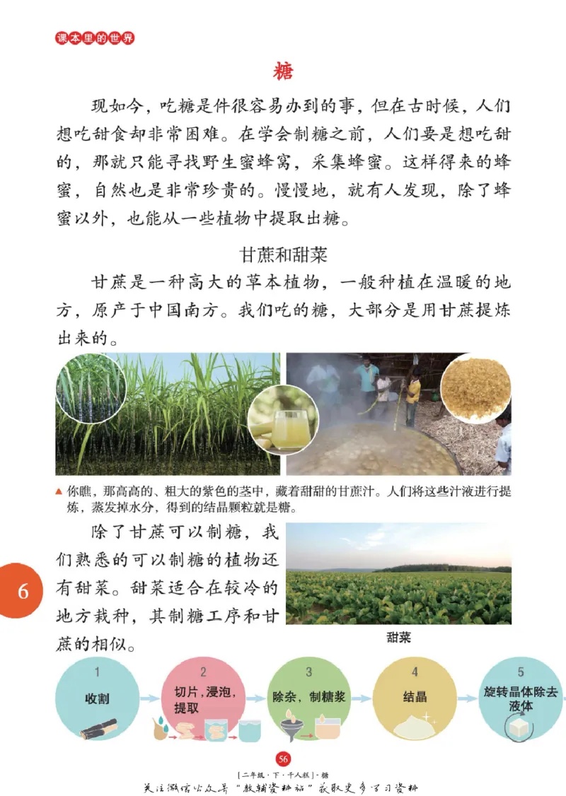 绘本课堂二年级下册语文部编版年级阅读_二年级上下册资料_小学二年级学习资料-25年更新版_2-02、小学二年级语文下册_2-2-2、练习题、作业、试题、试卷_电子册类