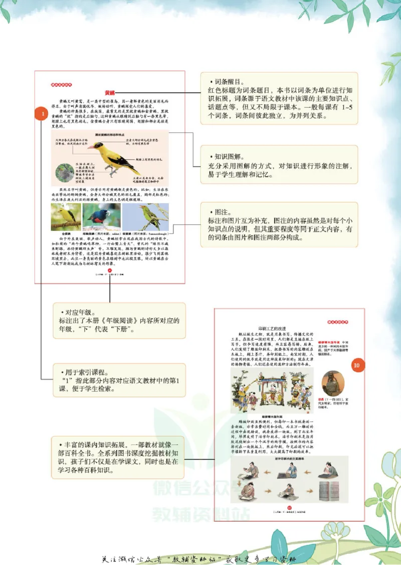 绘本课堂二年级下册语文部编版年级阅读_二年级上下册资料_小学二年级学习资料-25年更新版_2-02、小学二年级语文下册_2-2-2、练习题、作业、试题、试卷_电子册类