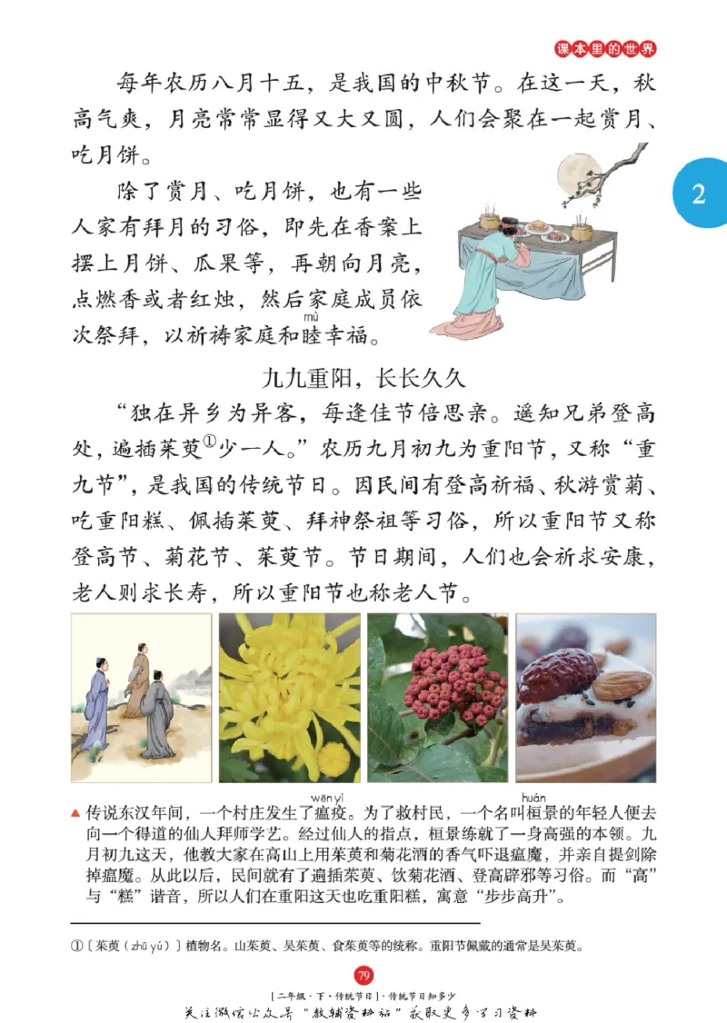 绘本课堂二年级下册语文部编版年级阅读_二年级上下册资料_小学二年级学习资料-25年更新版_2-02、小学二年级语文下册_2-2-2、练习题、作业、试题、试卷_电子册类