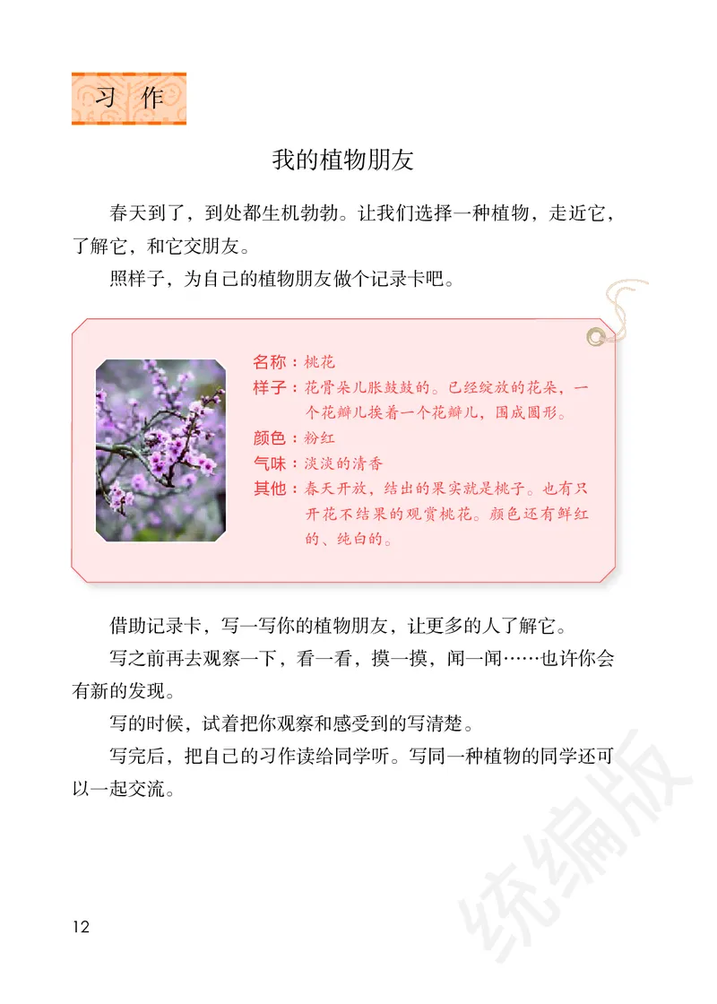 统编版三年级下册语文PDF电子课本_三年级上下册资料_三年级上语数英上下册学习资料_3-8-2、小学三年级语文下册_统编、部编、人教（语文全国统一只有一个版）_11、电子课本