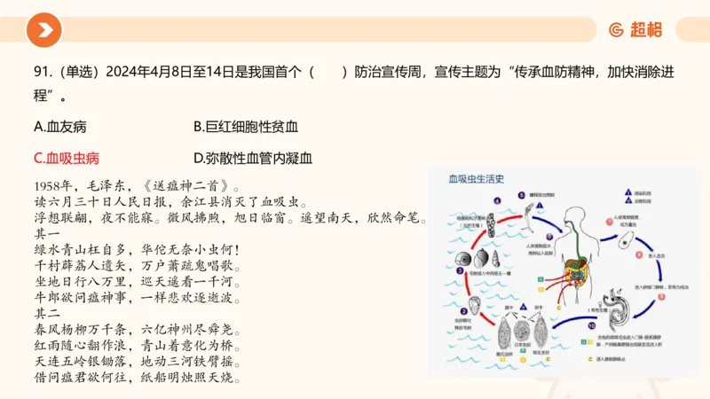 04、2024年4月时政刷题公众号：叛逆小樱桃_2026考公资料_（05）超格_超格时政_24时政合集_2024超格时政梳理+时政刷题_2024年时政刷题_04、4月时政刷题