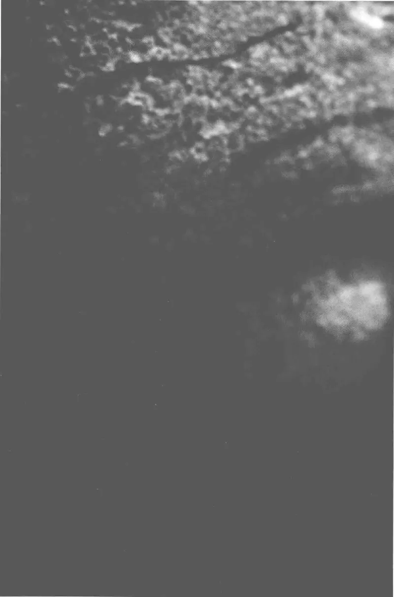 41.《锦瑟无端：十年自选集》[梁由之编著][上海三联书店][978-7-5426-5252-2][2015.9][P378]_绝版书_天涯系列_t涯_《天涯神贴去水印纯干货收藏版-汇总版》天涯的干货[pdf]_天涯社区优质书籍