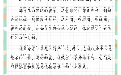 每日晨读散文_一年级上下册资料_小学一年级学习资料-25年更新版_1-01、小学一年级语文上册_10、每日晨读