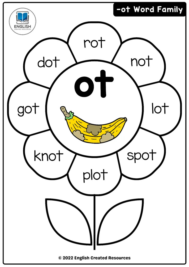 自然拼读花朵3_一年级上下册资料_小学一年级学习资料-25年更新版_1-00、幼小衔接_幼小衔接自然拼读_自然拼读花朵-123完整版