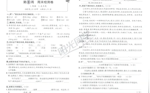 四年级语文上册人教版25秋《阳光同学提优新卷》周末小测卷_25秋小学语数英习题试卷_语文_语文《阳光同学提优新卷》_四年级语文上册人教版25秋《阳光同学提优新卷》