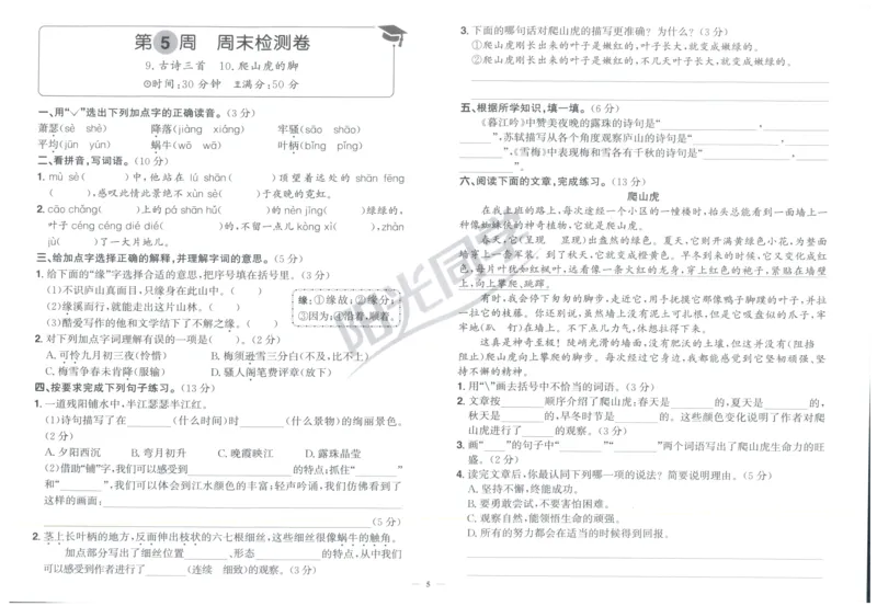 四年级语文上册人教版25秋《阳光同学提优新卷》周末小测卷_25秋小学语数英习题试卷_语文_语文《阳光同学提优新卷》_四年级语文上册人教版25秋《阳光同学提优新卷》