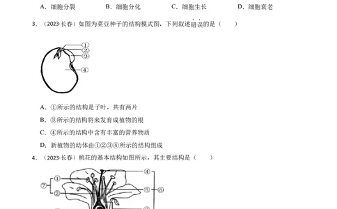 吉林省长春市2023年中考生物试卷(学生版)_吉林省长春市-历年中考真题_9-吉林省长春市-中考生物（21-25）_精品解析吉林省长春市2023年中考生物试卷