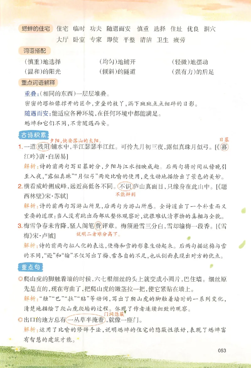 预习笔记四年级_25秋《一本预习笔记》语数外，人教，北师1-6上_25秋《一本预习笔记》语文1-6_四年级预习笔记语文