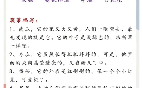 每日晨读苏荷篇_一年级上下册资料_小学一年级学习资料-25年更新版_1-00、幼小衔接_幼小衔接每日晨读篇