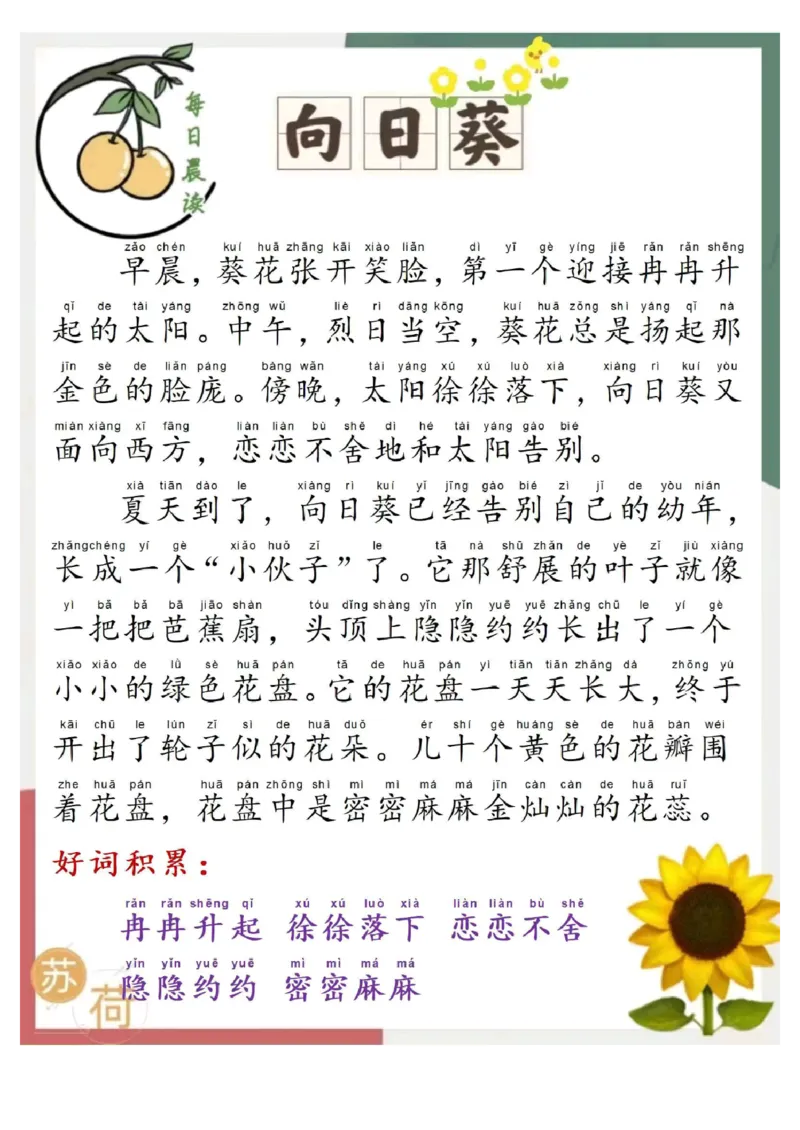 每日晨读苏荷篇_一年级上下册资料_小学一年级学习资料-25年更新版_1-00、幼小衔接_幼小衔接每日晨读篇