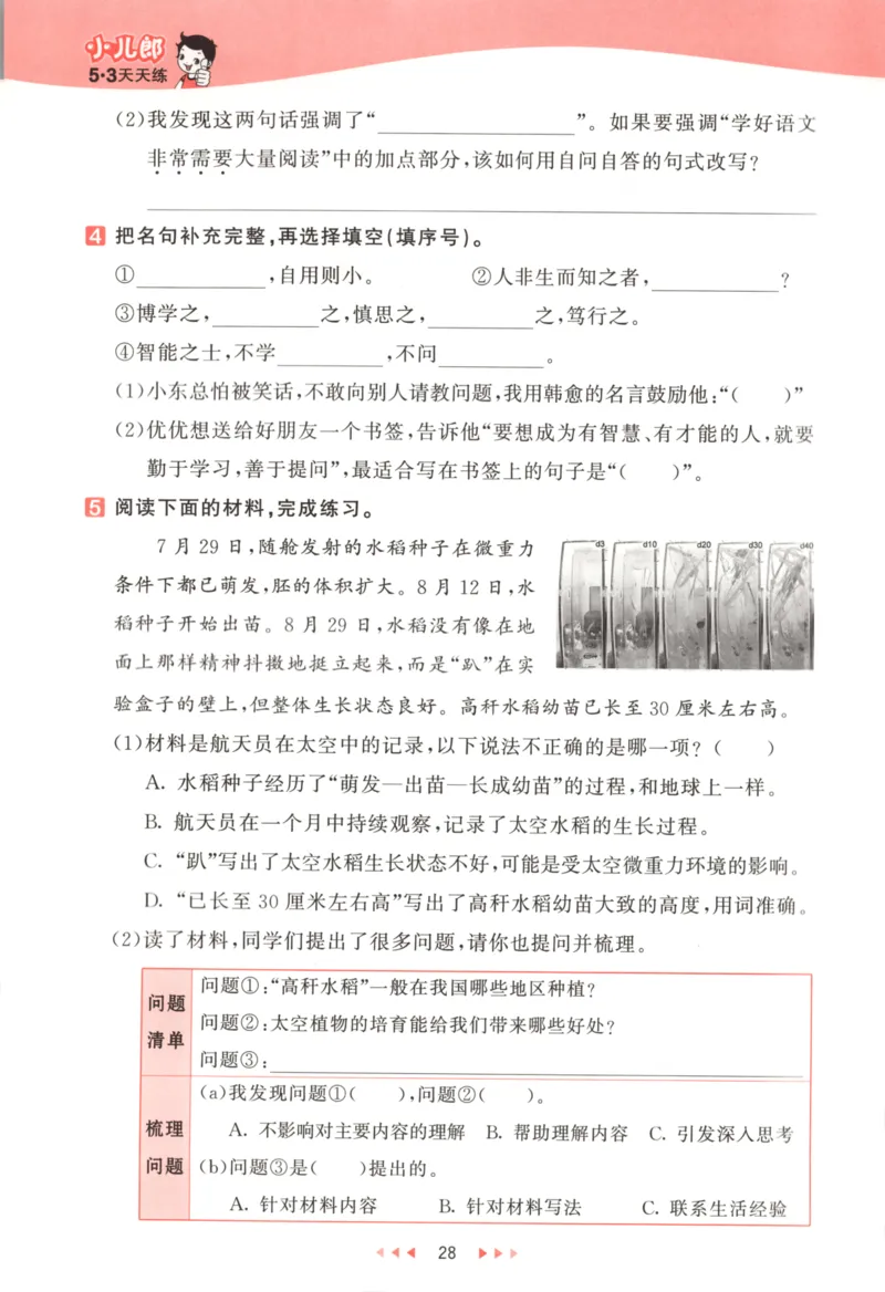 四年级语文上册人教版25秋《53天天练》_25秋小学语数英习题试卷_语文_1-6年级语文上册人教版25秋《53天天练》_四年级语文上册人教版25秋《53天天练》