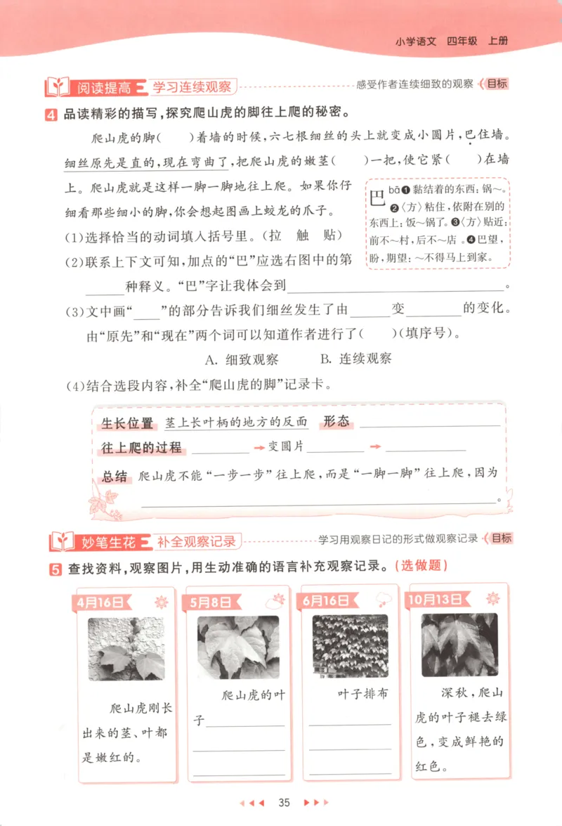 四年级语文上册人教版25秋《53天天练》_25秋小学语数英习题试卷_语文_1-6年级语文上册人教版25秋《53天天练》_四年级语文上册人教版25秋《53天天练》