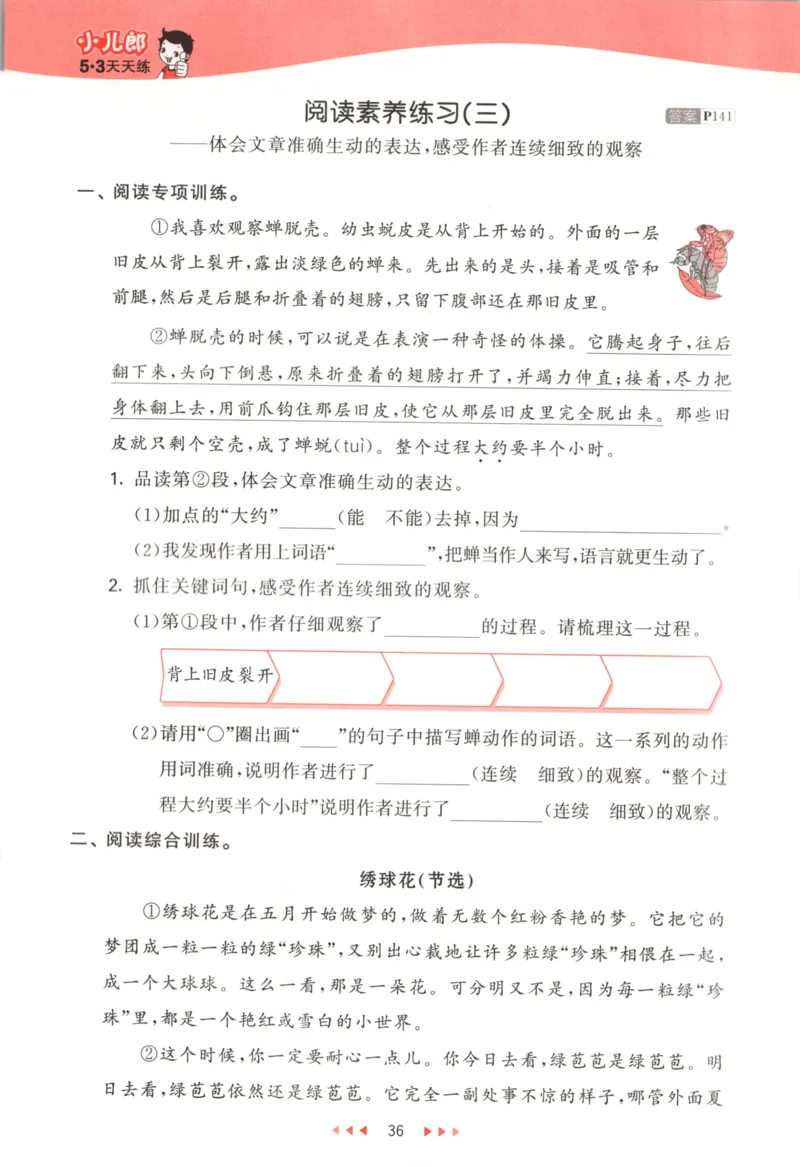 四年级语文上册人教版25秋《53天天练》_25秋小学语数英习题试卷_语文_1-6年级语文上册人教版25秋《53天天练》_四年级语文上册人教版25秋《53天天练》