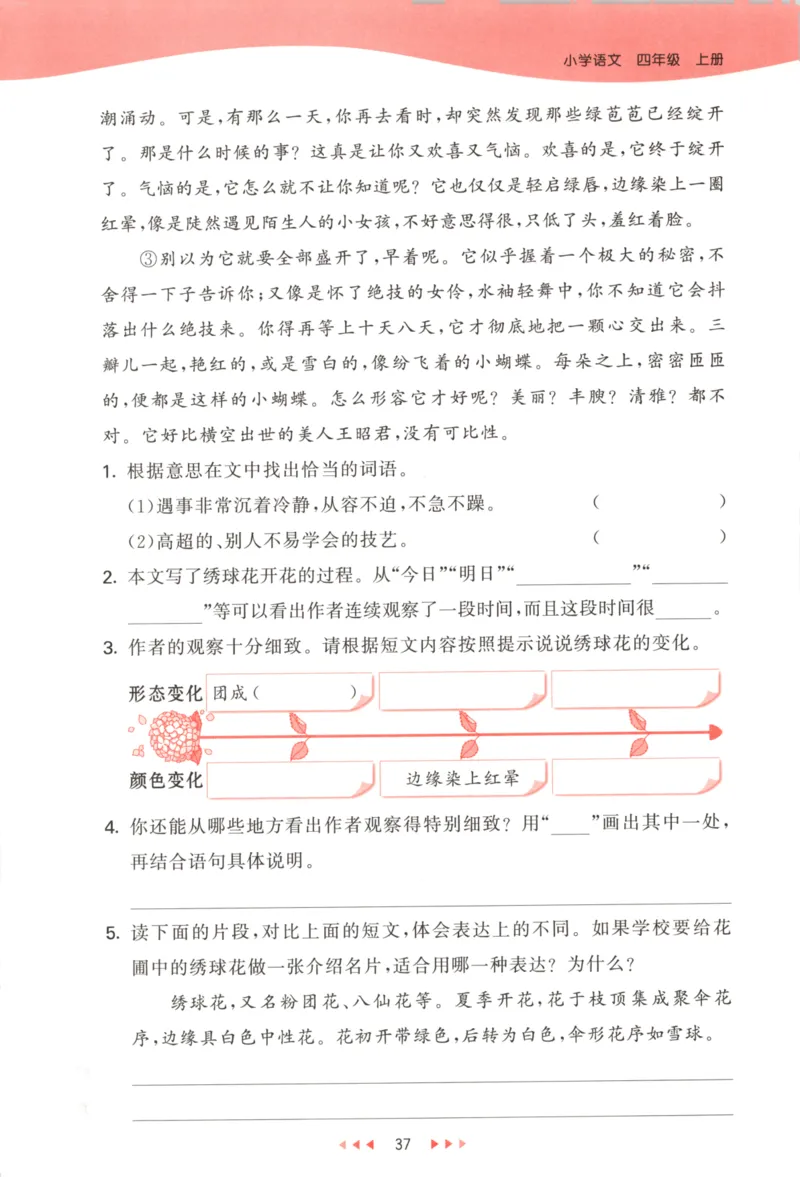 四年级语文上册人教版25秋《53天天练》_25秋小学语数英习题试卷_语文_1-6年级语文上册人教版25秋《53天天练》_四年级语文上册人教版25秋《53天天练》