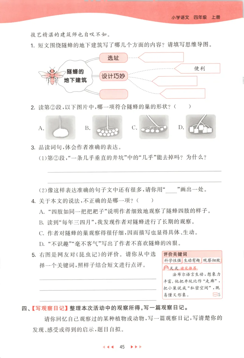 四年级语文上册人教版25秋《53天天练》_25秋小学语数英习题试卷_语文_1-6年级语文上册人教版25秋《53天天练》_四年级语文上册人教版25秋《53天天练》