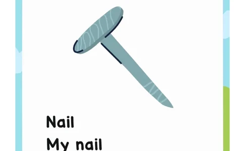 英语流利说2_一年级上下册资料_小学一年级学习资料-25年更新版_1-00、幼小衔接_幼小衔接英语启蒙篇