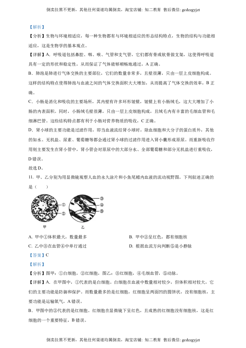 2024年吉林省长春市中考生物真题（解析版）_吉林省长春市-历年中考真题_9-吉林省长春市-中考生物（21-25）_2024年吉林省长春市中考生物真题（原卷版+解析版）