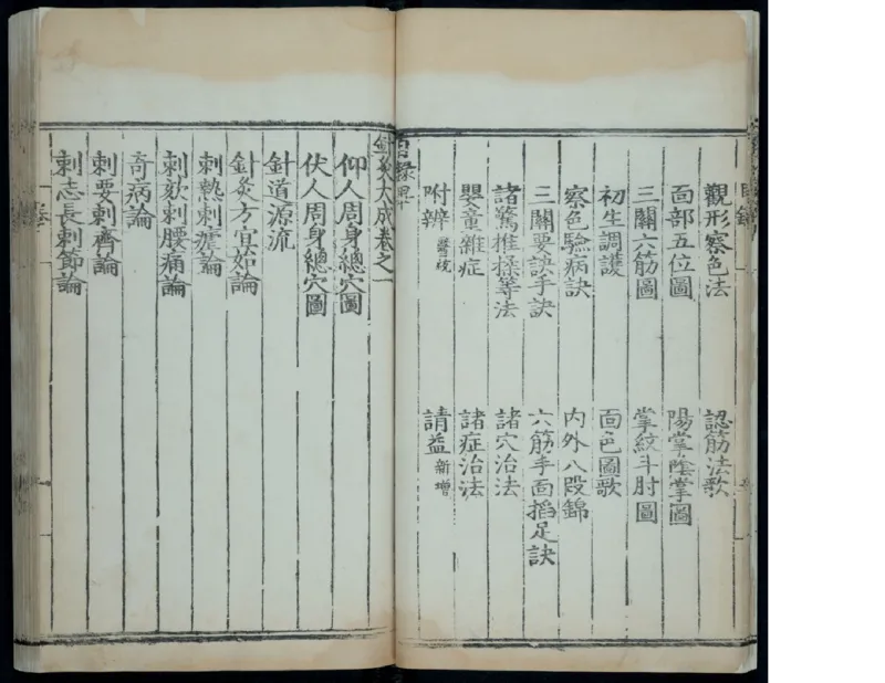 1_绝版书_天涯系列_t涯_绝版古籍电子书合集（13大类）_医书类_针灸大成