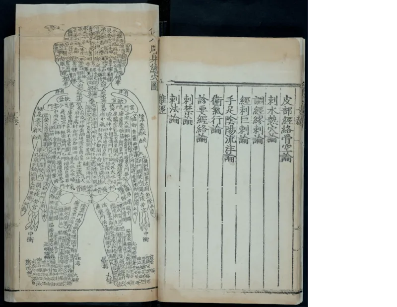 1_绝版书_天涯系列_t涯_绝版古籍电子书合集（13大类）_医书类_针灸大成