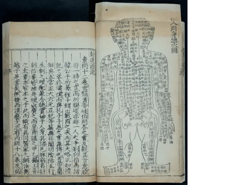 1_绝版书_天涯系列_t涯_绝版古籍电子书合集（13大类）_医书类_针灸大成