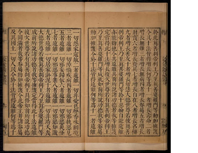 4_绝版书_天涯系列_t涯_绝版古籍电子书合集（13大类）_佛教类_大乘大集地藏十輪經五卷玄奘譯