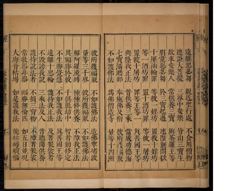 4_绝版书_天涯系列_t涯_绝版古籍电子书合集（13大类）_佛教类_大乘大集地藏十輪經五卷玄奘譯