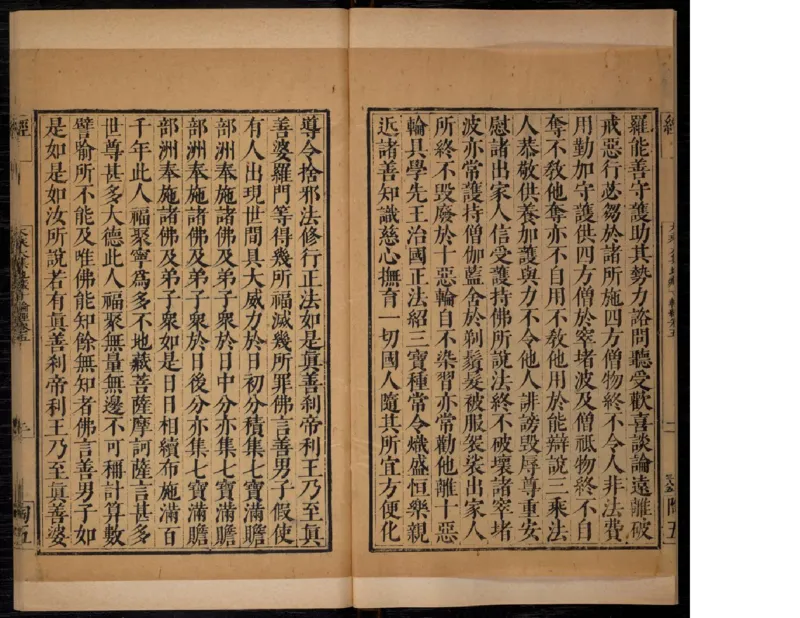 4_绝版书_天涯系列_t涯_绝版古籍电子书合集（13大类）_佛教类_大乘大集地藏十輪經五卷玄奘譯