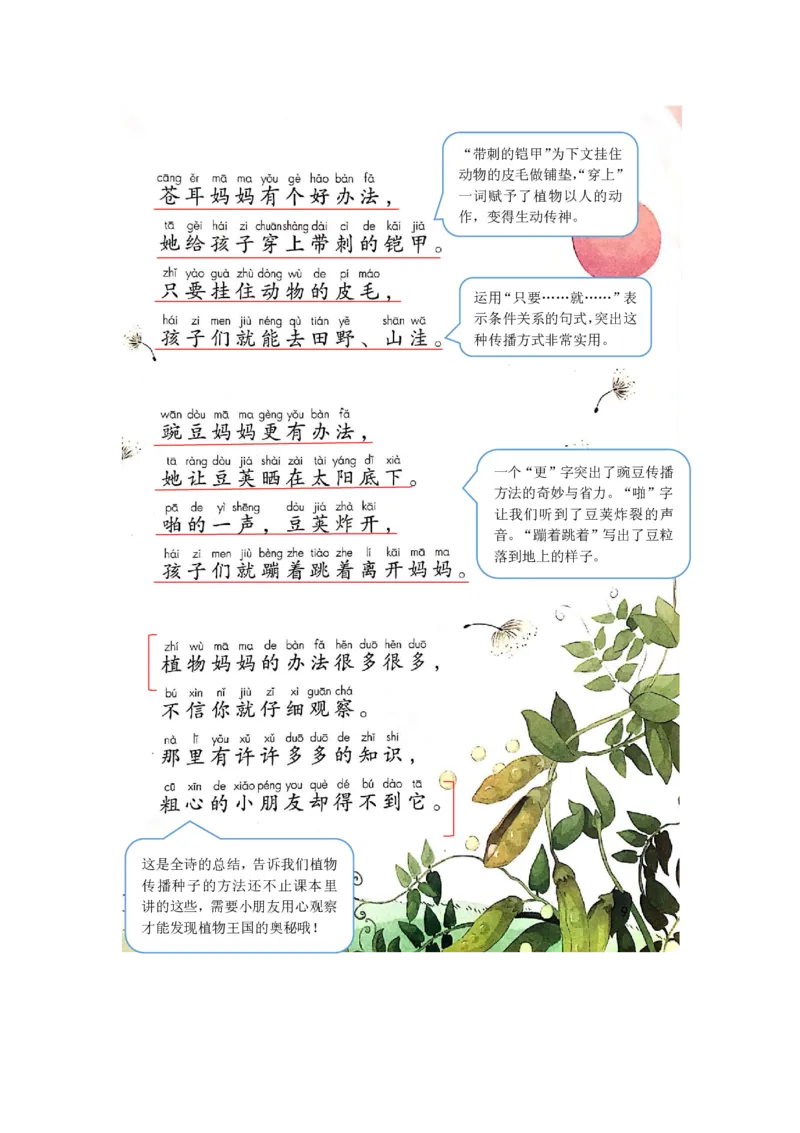 部编版二（上）全册课堂笔记_二年级上下册资料_小学二年级学习资料-25年更新版_2-01、小学二年级语文上册_2-1-1、复习、知识点、归纳汇总_语文二（上）课堂笔记