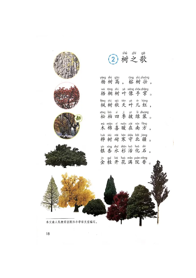 部编版二（上）全册课堂笔记_二年级上下册资料_小学二年级学习资料-25年更新版_2-01、小学二年级语文上册_2-1-1、复习、知识点、归纳汇总_语文二（上）课堂笔记