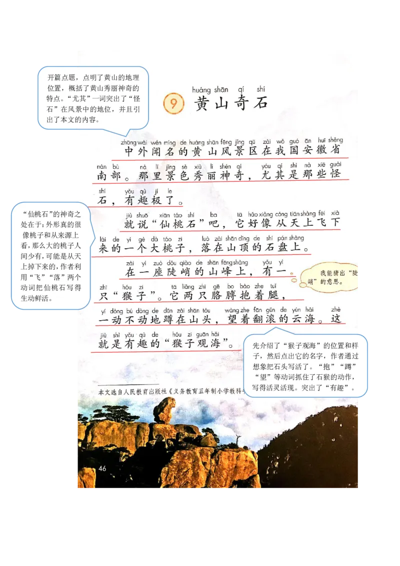 部编版二（上）全册课堂笔记_二年级上下册资料_小学二年级学习资料-25年更新版_2-01、小学二年级语文上册_2-1-1、复习、知识点、归纳汇总_语文二（上）课堂笔记