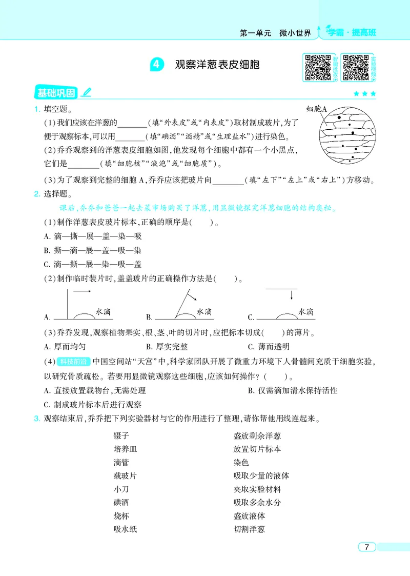 六年级科学上册教科版25秋《4星学霸提高班》_25秋小学语数英习题试卷_科学_教科版小学科学[4星学霸提高班]