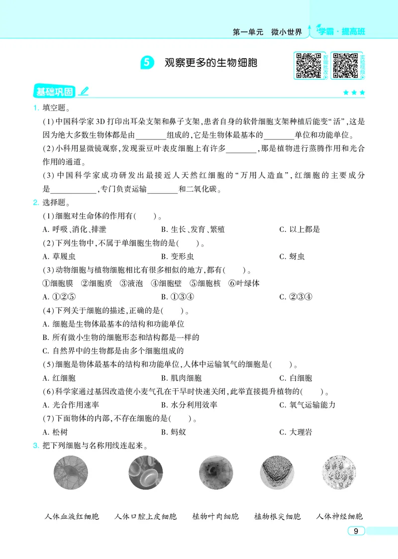 六年级科学上册教科版25秋《4星学霸提高班》_25秋小学语数英习题试卷_科学_教科版小学科学[4星学霸提高班]